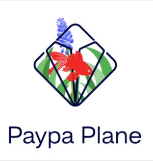 Paypa Plane logo